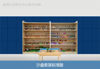 沙盘套装标准版 沙盘套装标准版